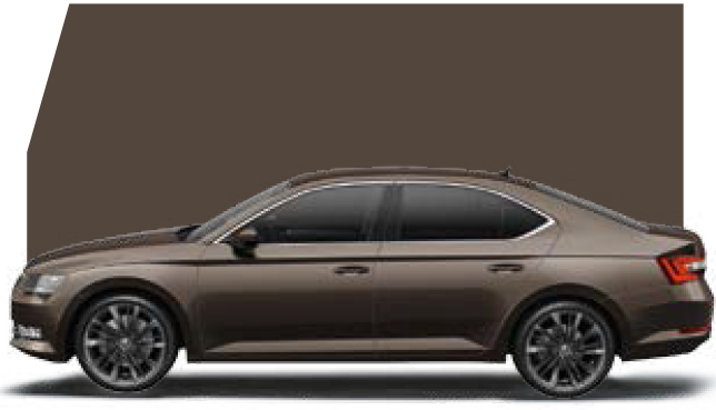 Magnetic brown skoda